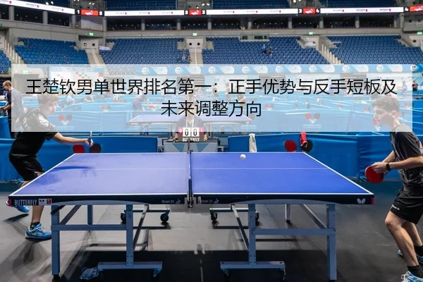 wang-chu-qin-nan-dan-shi-jie-pai-ming-di-yi-zheng-shou-you-shi-yu-fan-shou-duan-ban-ji-wei-lai-tiao-zheng-fang-xiang-2-854.jpg